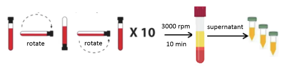 Figure 1. The schematic diagram of plasma preparation